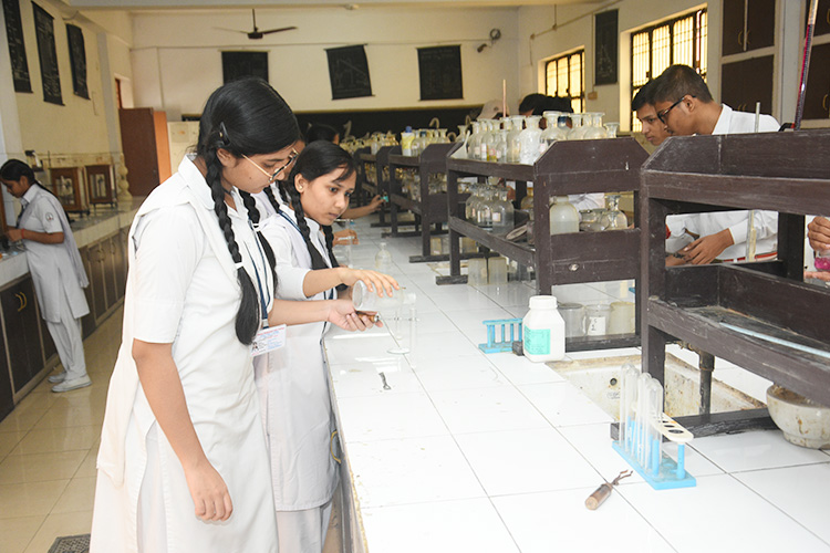 Pioneer Montessori School